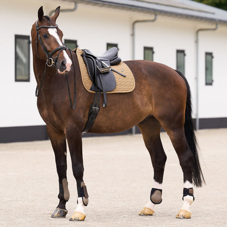 HV Polo Essential Dressage Saddle Pad #colour_straw