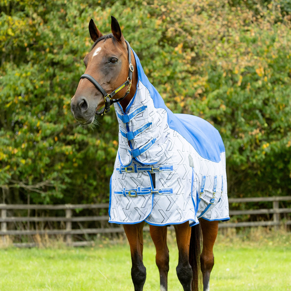 StormX DefenceX Shield Quagga System Fly Rug [Blue/White] [4'6]