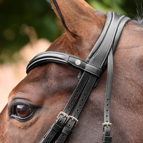 Shires Velociti LUSSO Opus 180M Dressage Cavesson Bridle #colour_black