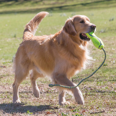 KONG AirDog Fetch Stick With Rope #size_m