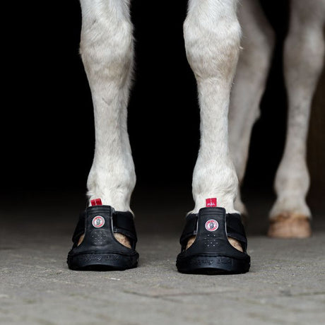 Equine Fusion Slim Trekking Shoe #colour_black