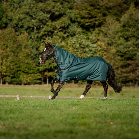 Horseware Ireland Amigo Ripstop 900 Plus 200g #colour_dynasty-green-navy-silver