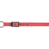 Covalliero Headcollar #colour_coral