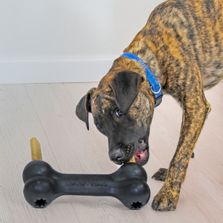 KONG Goodie Bone Extreme #size_xl