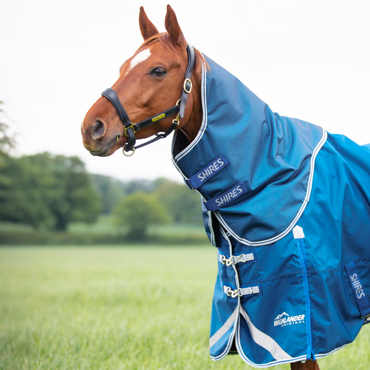 Shires Highlander Original 200g Turnout Rug & Neck #colour_blue