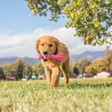 KONG Wubba #size_puppy