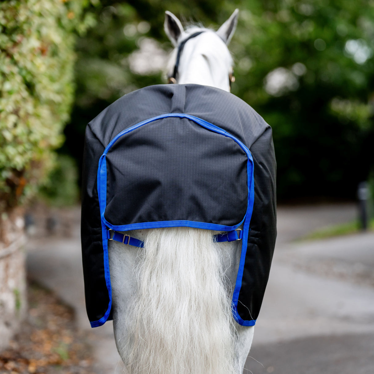 Horseware Ireland Amigo Ripstop 900D Plus 0g Pony Turnout Rug #colour_black-classic-blue