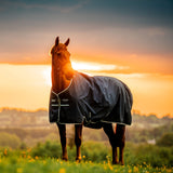 Horseware Ireland Amigo Ripstop 900D 0g Turnout Rug #colour_witney-navy