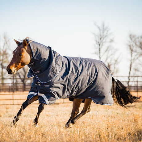 Horseware Ireland Amigo Bravo 12 Plus 400g Heavy Turnout Rug #colour_navy-strong-blue-black