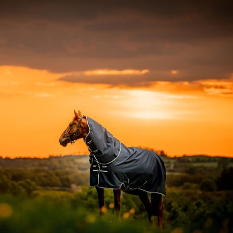 Horseware Ireland Amigo Ripstop 900 Plus 0g #colour_witney-navy