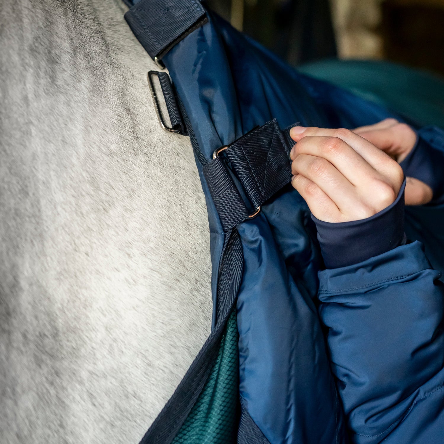 Horseware Ireland Amigo Ripstop Insulator 350g Stable Rug #colour_dynasty-green-navy-silver