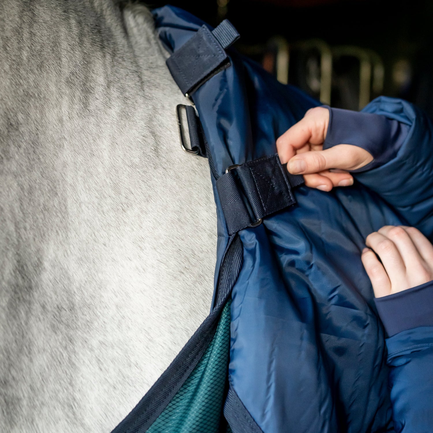 Horseware Ireland Amigo Ripstop Insulator 350g Stable Rug #colour_dynasty-green-navy-silver