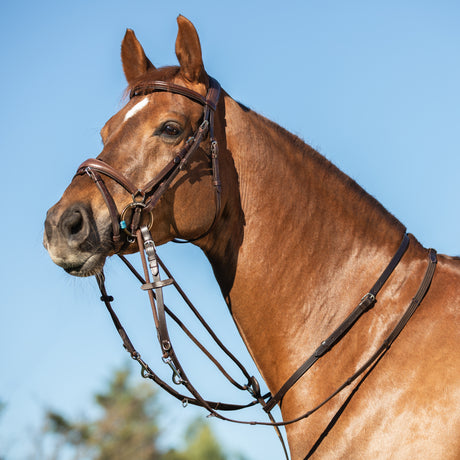 Acavallo Thiedemann Reins Tubular Nylon #colour_brown