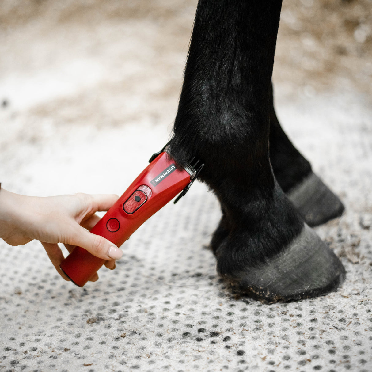 Liveryman Nova Trimmer