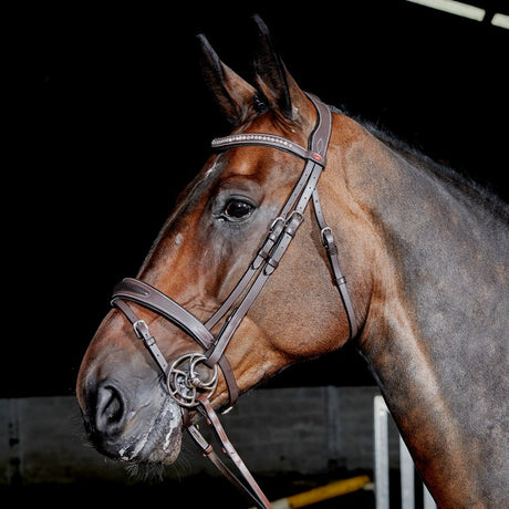 Whitaker Chicago Bling Bridle #colour_havana