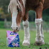 Blue Chip Super Concentrated Calming Balancer