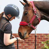 Equilibrium Stellar Style Headcollar