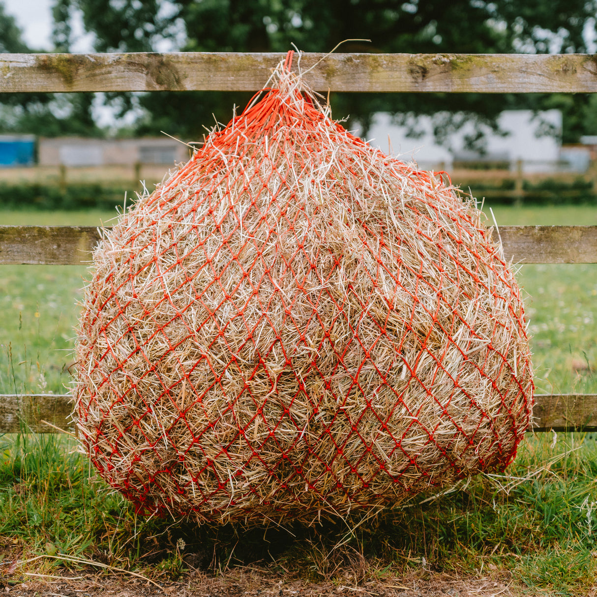 GS Equestrian Haynet Deluxe 50"