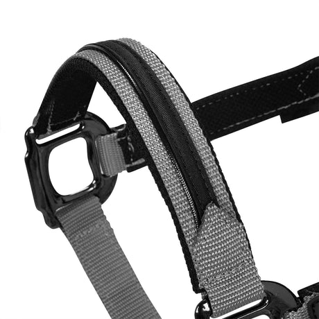Equestro Durable Fleece Halter #colour_grey