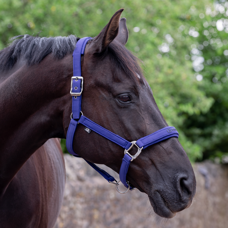 GS Equestrian & Country Revella Headcollar