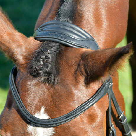 Collegiate Comfitec Opulux Plain Padded Hanoverian Flash Bridle #colour_black
