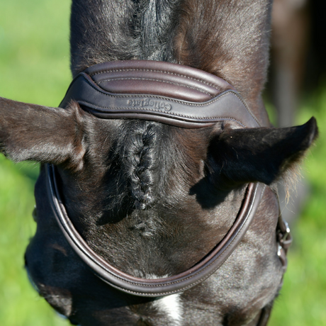 Collegiate Comfitec Opulux Plain Padded Hanoverian Flash Bridle #colour_dark-brown