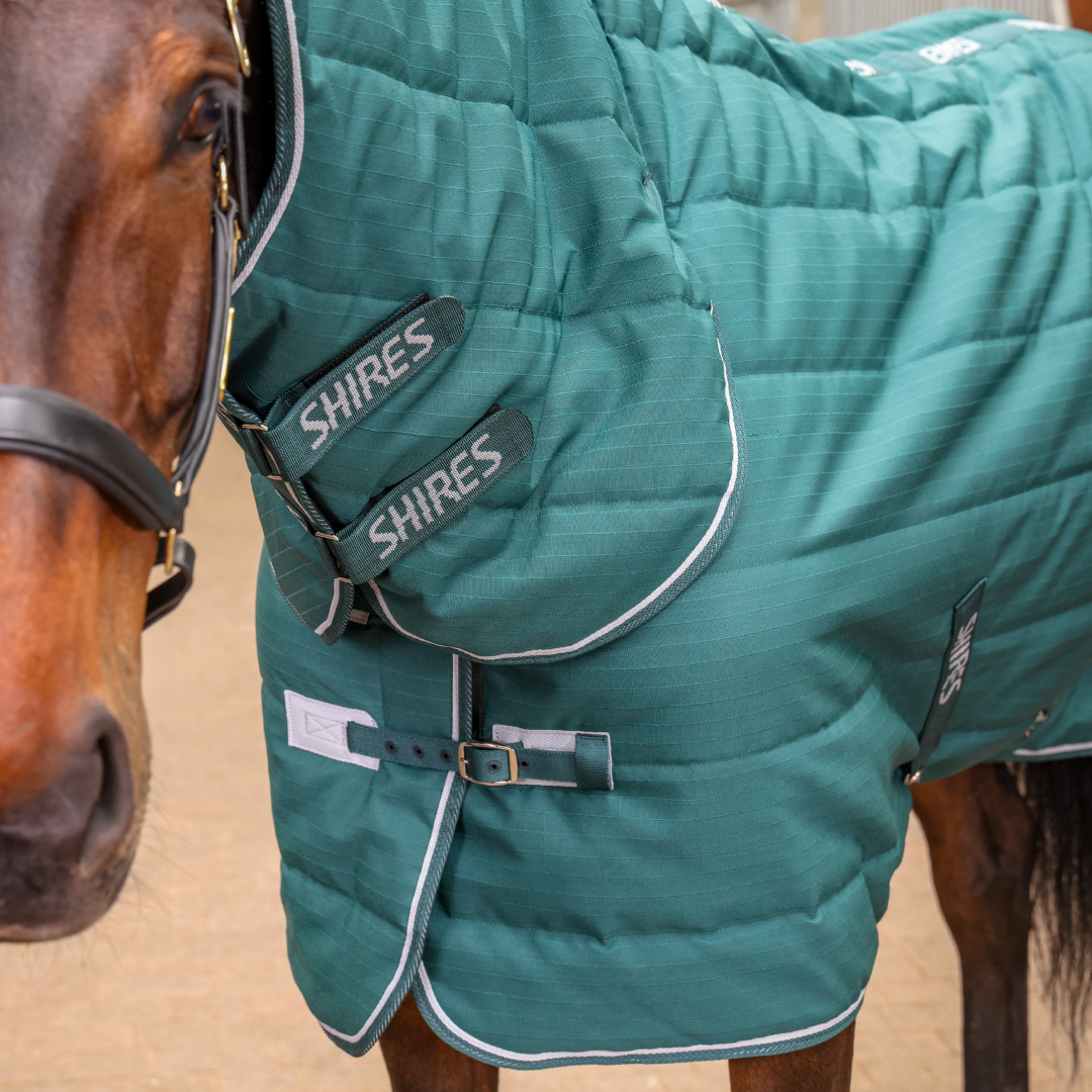 Shires Tempest Original 200 Stable Combo #colour_emerald