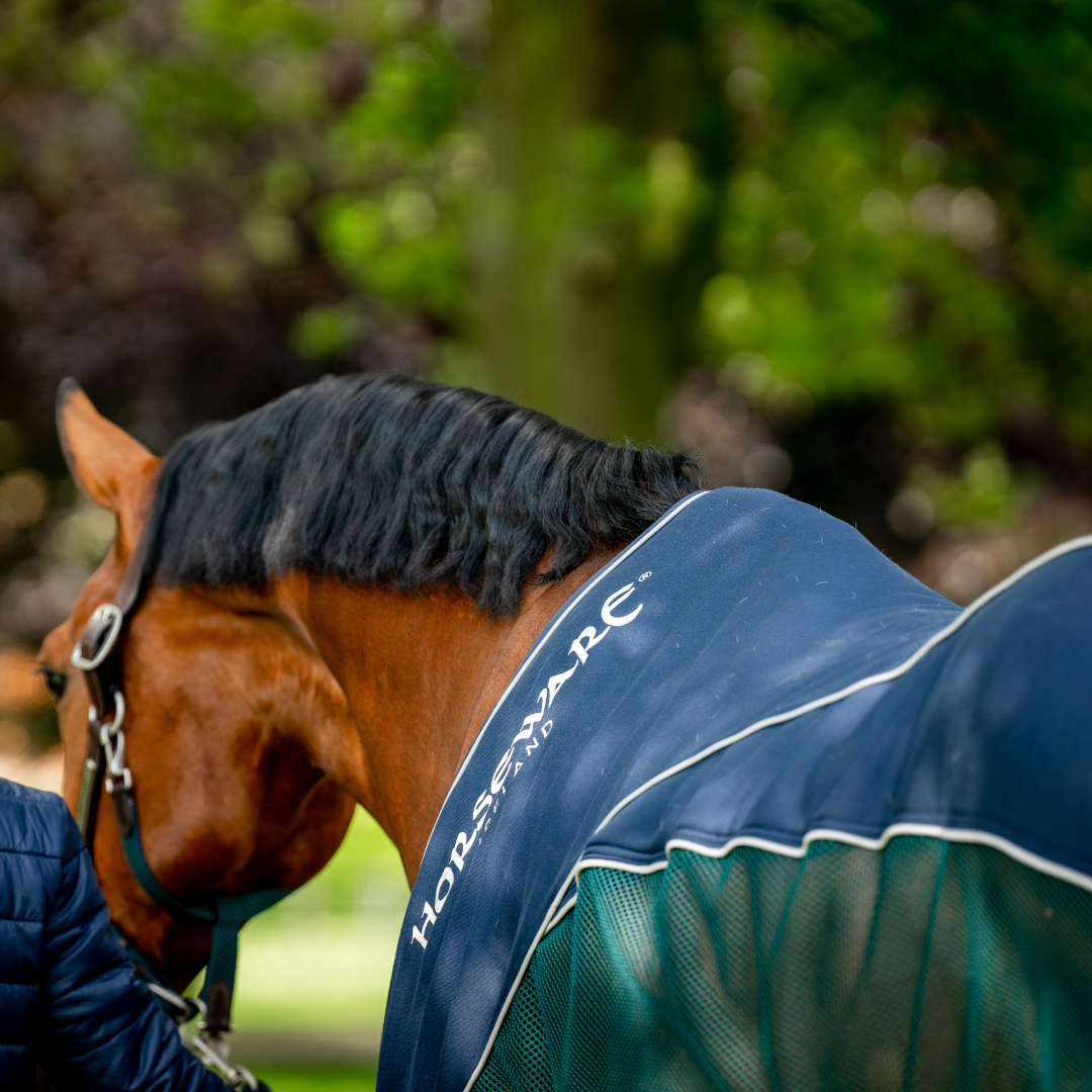 Horseware Ireland Signature Sport Cooler #colour_navy-hunter-green