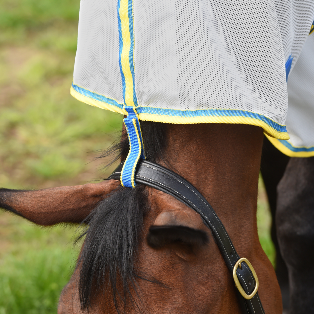 Weatherbeeta Comfitec Zephyr Plus Mesh Combo Neck #colour_silver-blue-lemon
