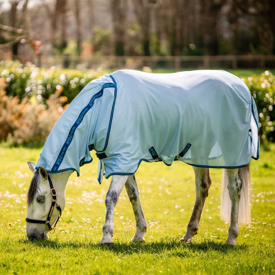 Horseware Ireland Amigo Bug Rug #colour_azure-blue-navy-electric-blue