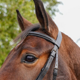 GS Equestrian Padded Flash Bridle
