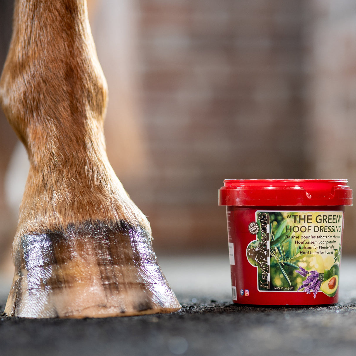 Kevin Bacons The Green Hoof Dressing