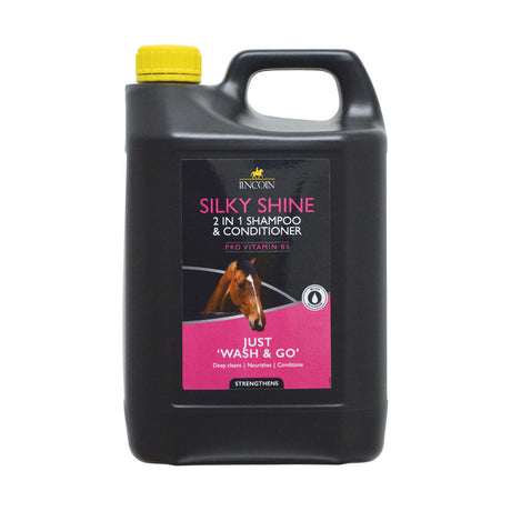 Lincoln Silky Shine 2 in 1 Shampoo and Conditioner