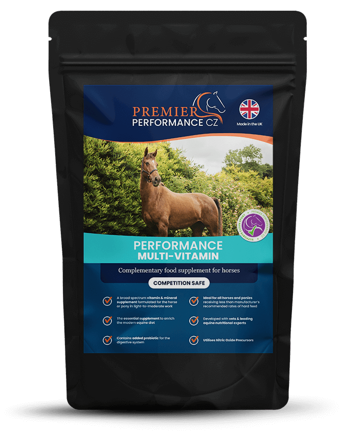 Premier Performance MultiVitamin