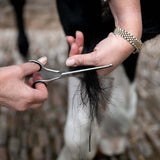 Smart Grooming Straight Safety Scissor