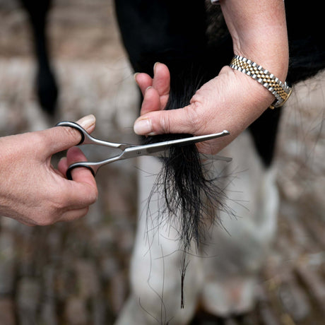 Smart Grooming Straight Safety Scissor
