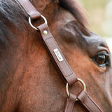 Equilibrium Stellar All-Weather Safety Headcollar #colour_brown