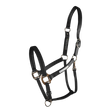 Equilibrium Stellar All-Weather Safety Headcollar #colour_black