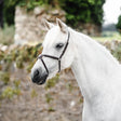 Mackey Classic Mexican Grackle Noseband #colour_black
