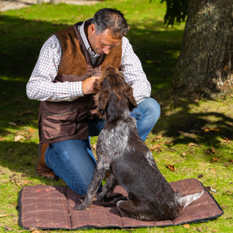 Baleno Tweed Dog Bed #colour_check-brown
