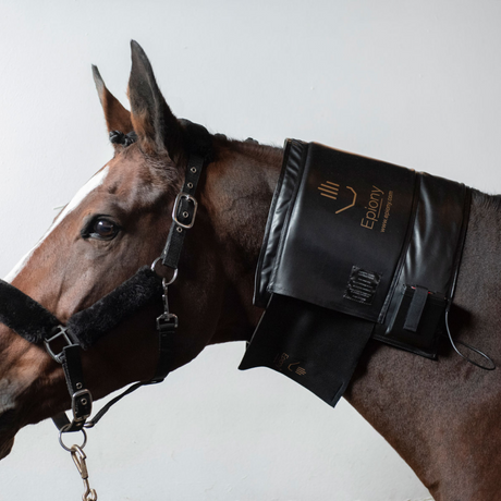 Epiony Heat Pad