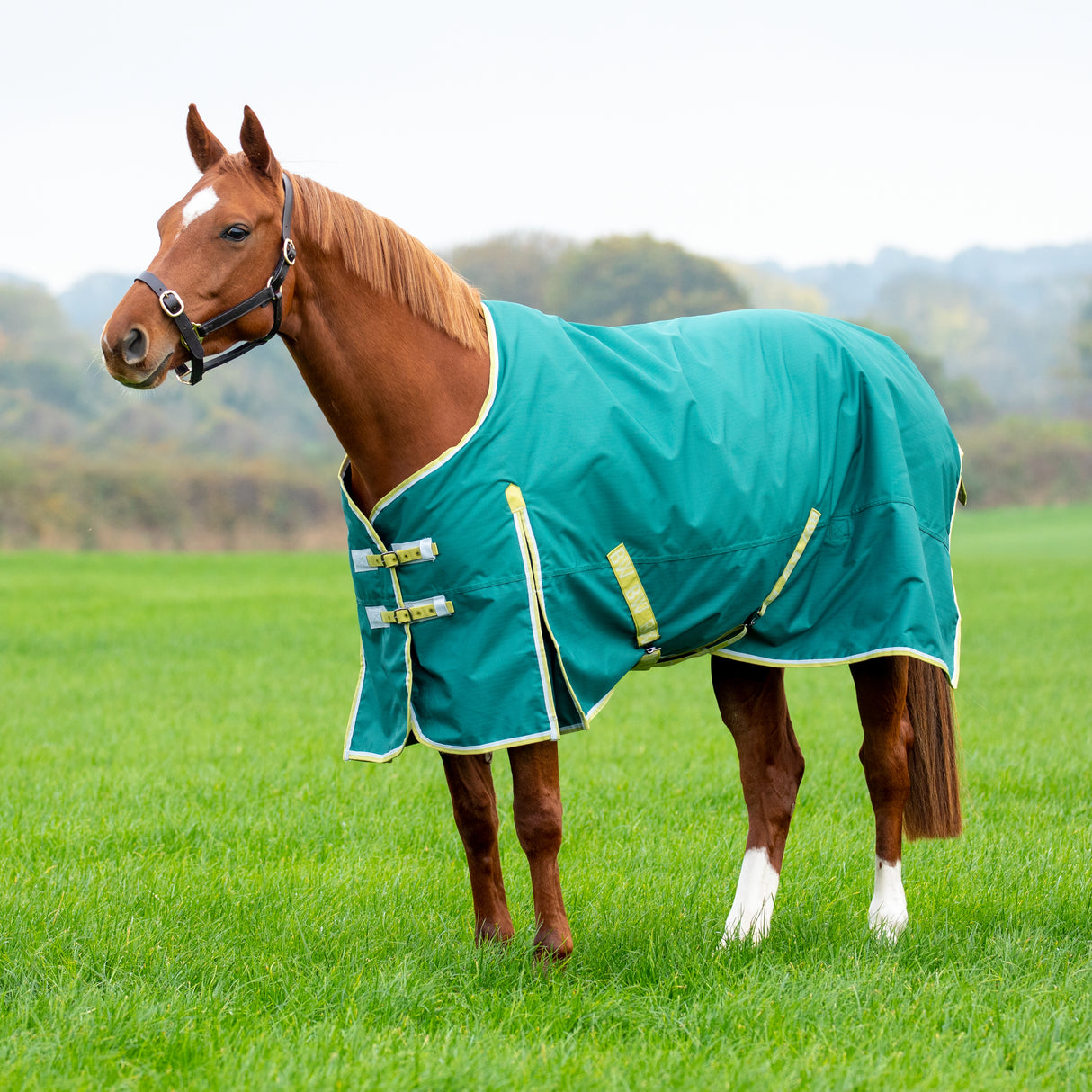 Bridleway Ontario 50g Turnout Rug