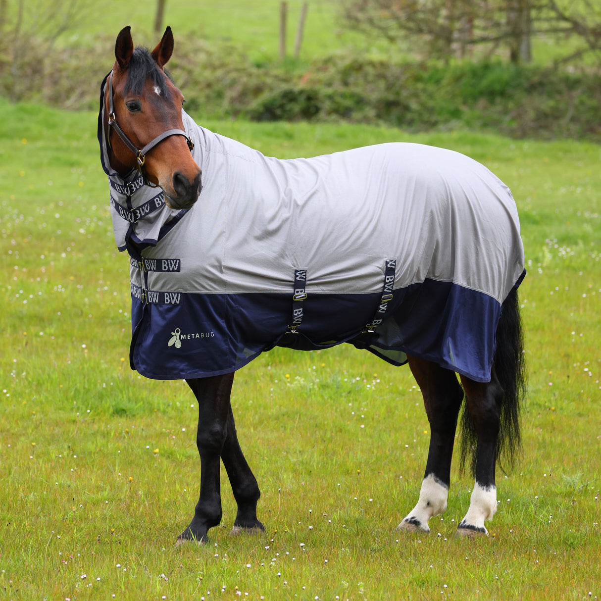 Bridleway Metabug Fly Combo