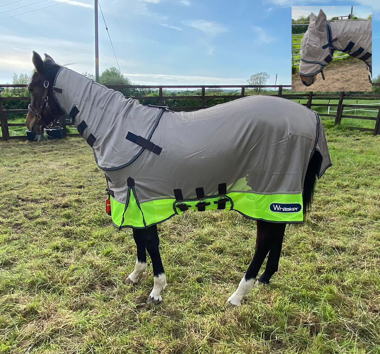 Whitaker Airton Fly Rug #colour_lime