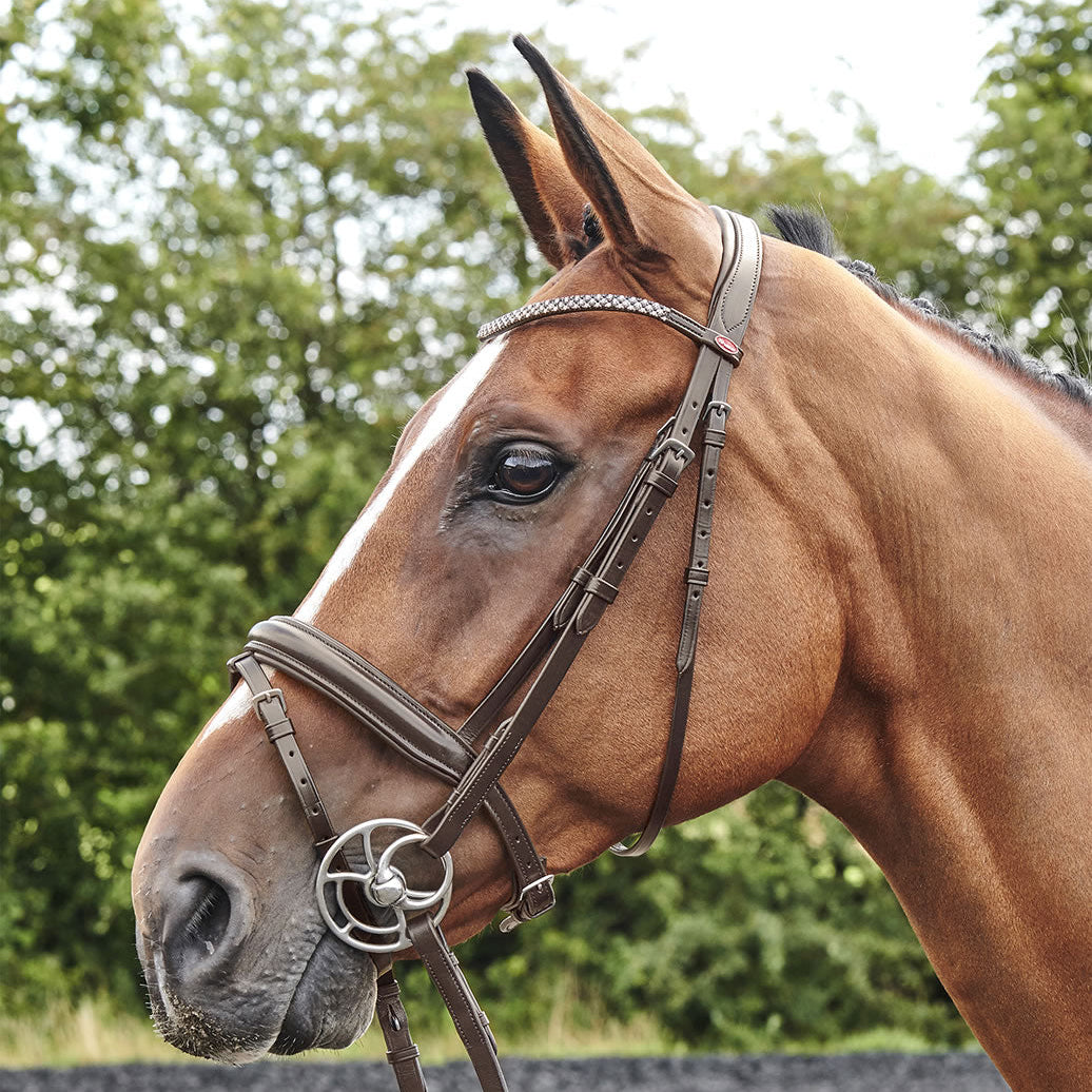 Whitaker Barton Bling Flash Bridle #colour_havana
