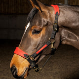 Whitaker Harewood Headcollar #colour_red-black