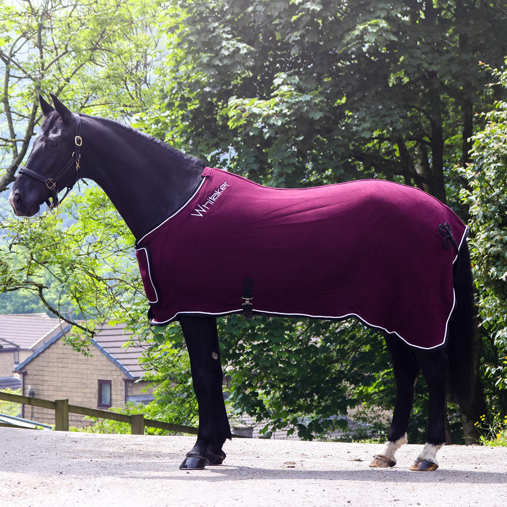 Whitaker Club Show Rug #colour_burgundy