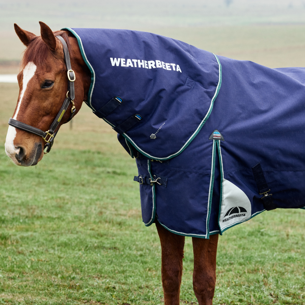 Weatherbeeta Comfitec Plus Dynamic 220G Turnout Neck Cover #colour_navy-forest-green