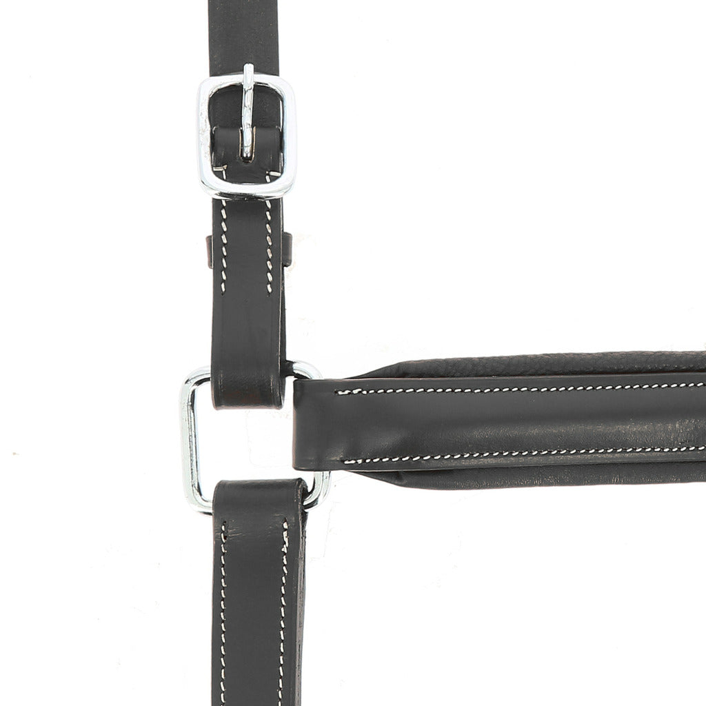 Norton Pro Anatomical Head Collar #colour_black
