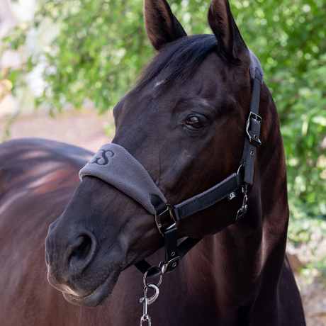 GS Equestrian & Country Headcollar & Lead Rope Set